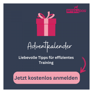 Anmeldung zum kostenlosen Adventkalender von Simply Dog - liebevolle Tipps für effizientes Training